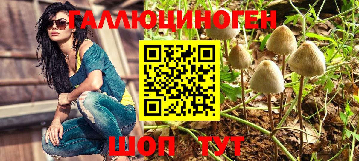 Великий Устюг  Псилоцибиновые грибы Psilocybe  Галлюциногенные грибы MAGIC MUSHROOMS  Вход с VPN 
